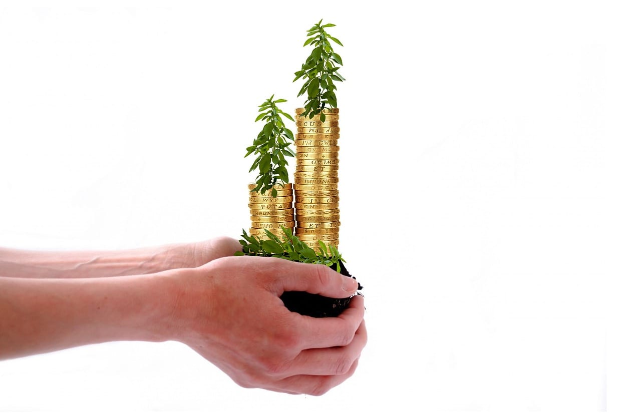 Sustainable Investment Unlocking the Potential of ESG Funds' Performance and Future Trends | Image Credit: Pixabay