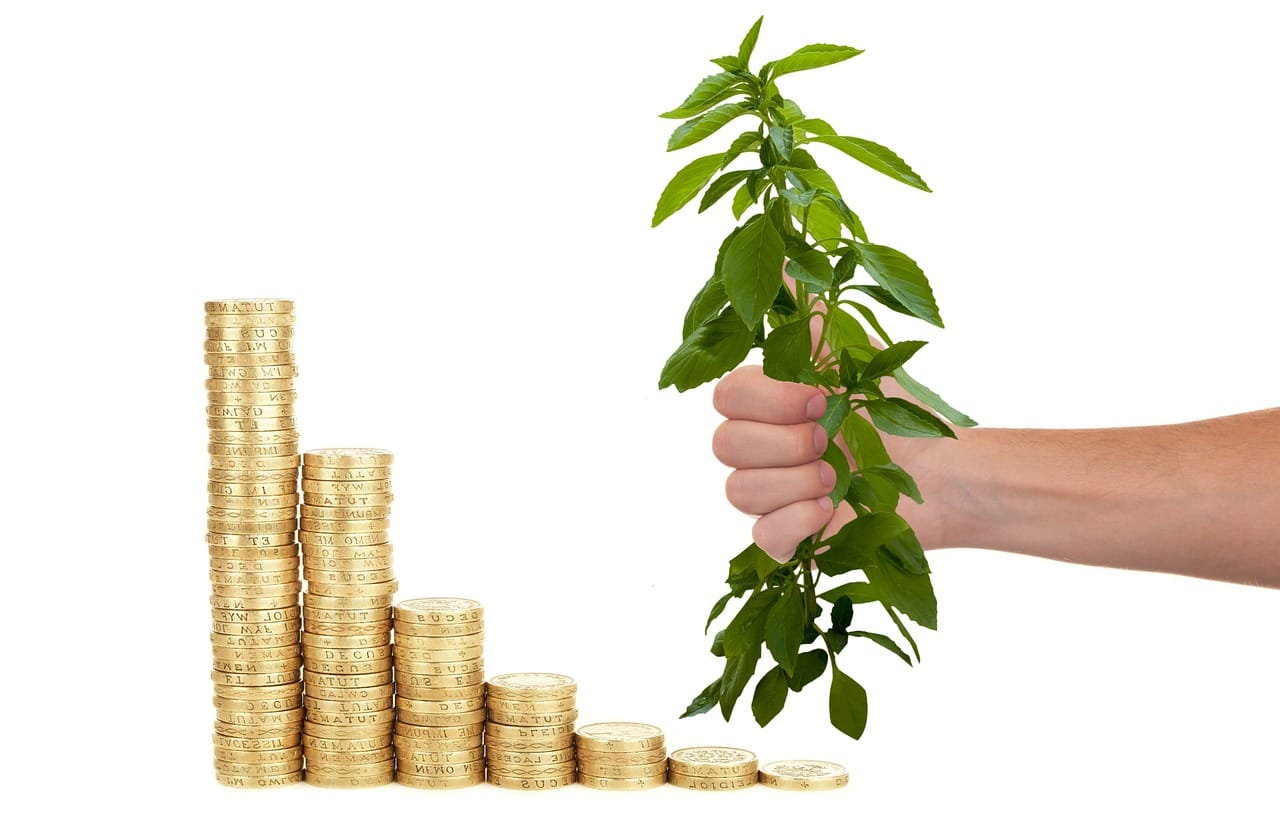 Sustainable Investment Unlocking the Potential of ESG Funds' Performance and Future Trends | Image Credit: Pixabay