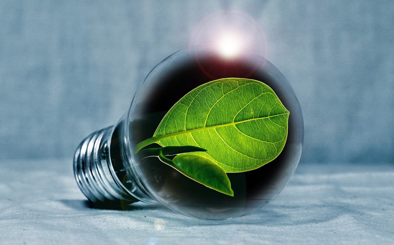 The Imperative of Sustainable Economic Development in the Age of Green Energy | Image Credit : Pixabay