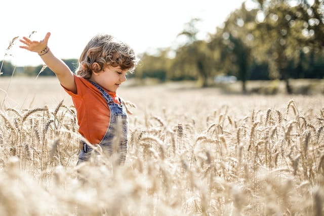 Serving as the Chief Executive Officer of Land O’Lakes, she is revolutionizing American agriculture