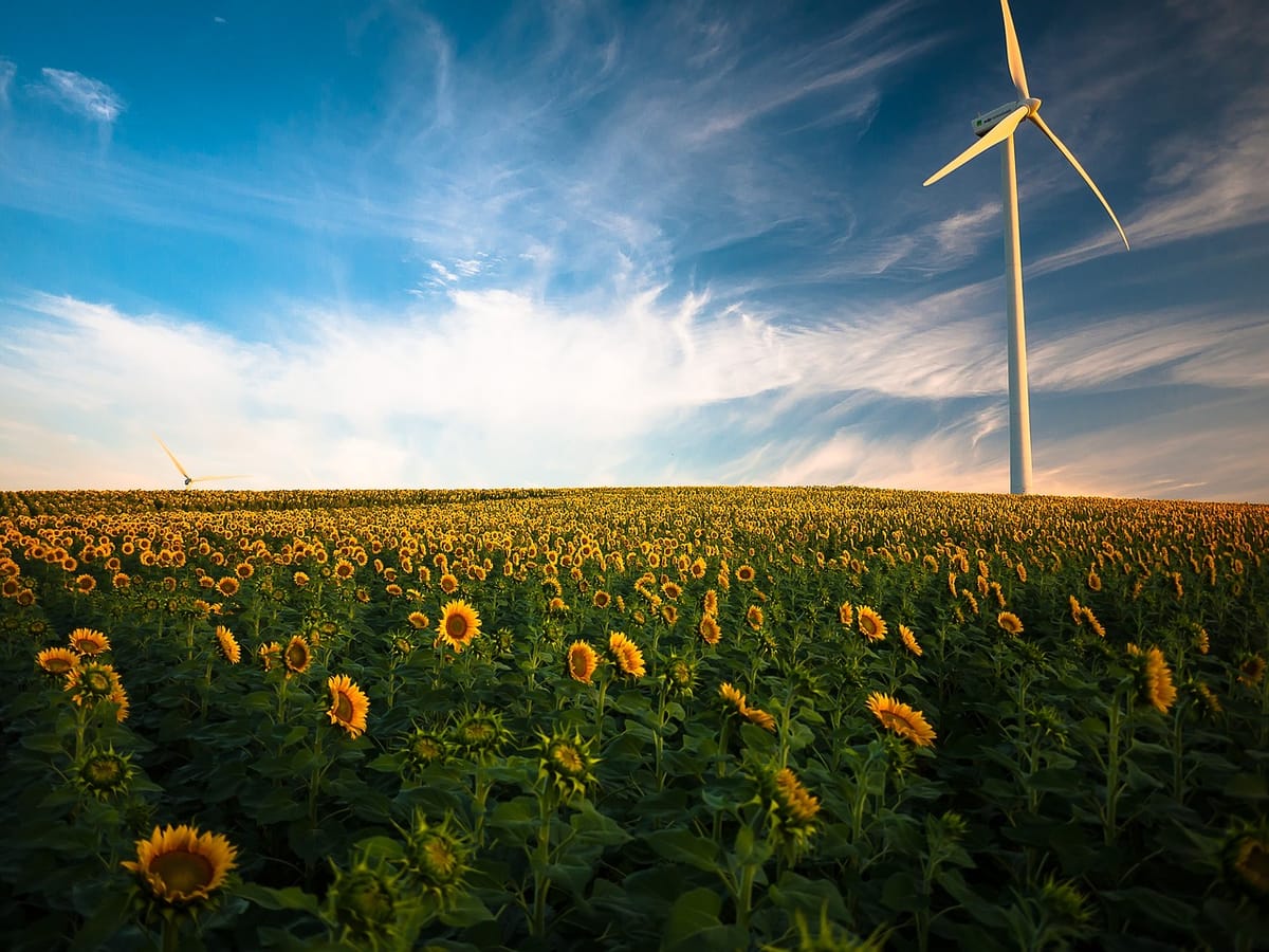 Renewable Energy's Role in Economic Development